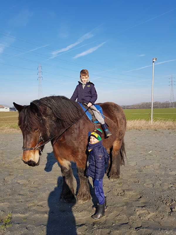 Afbeelding