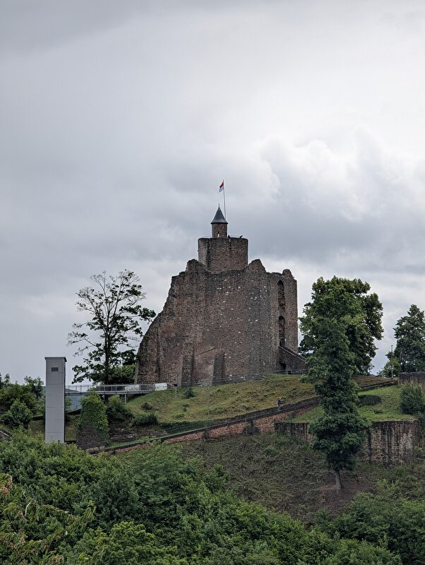Afbeelding