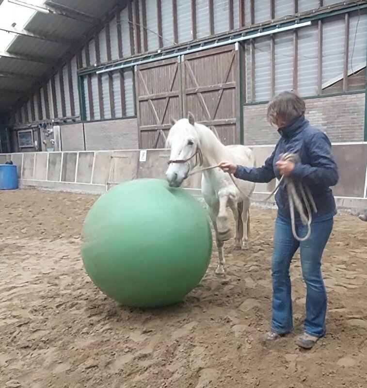 Afbeelding
