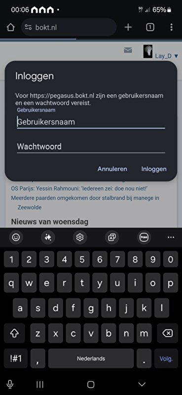 Afbeelding