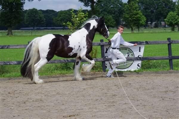 Afbeelding