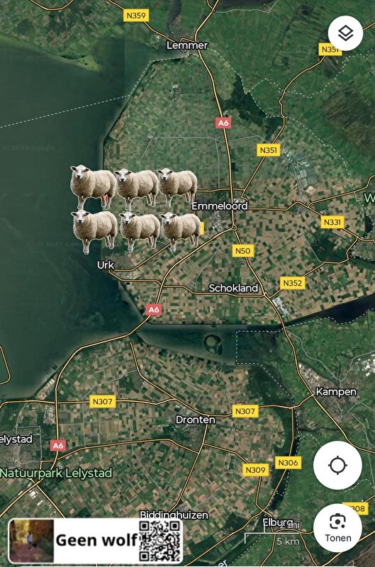 Afbeelding