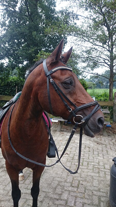 Afbeelding