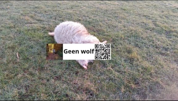 Afbeelding