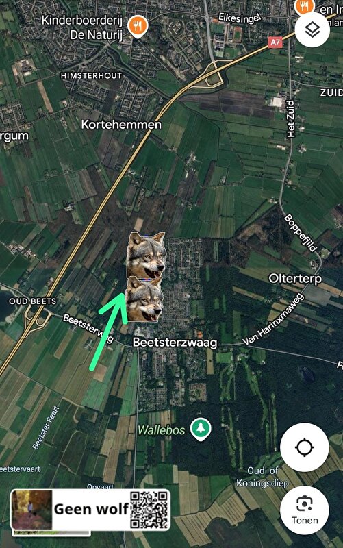 Afbeelding