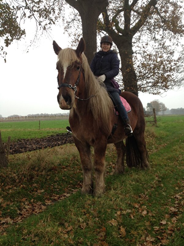 Afbeelding