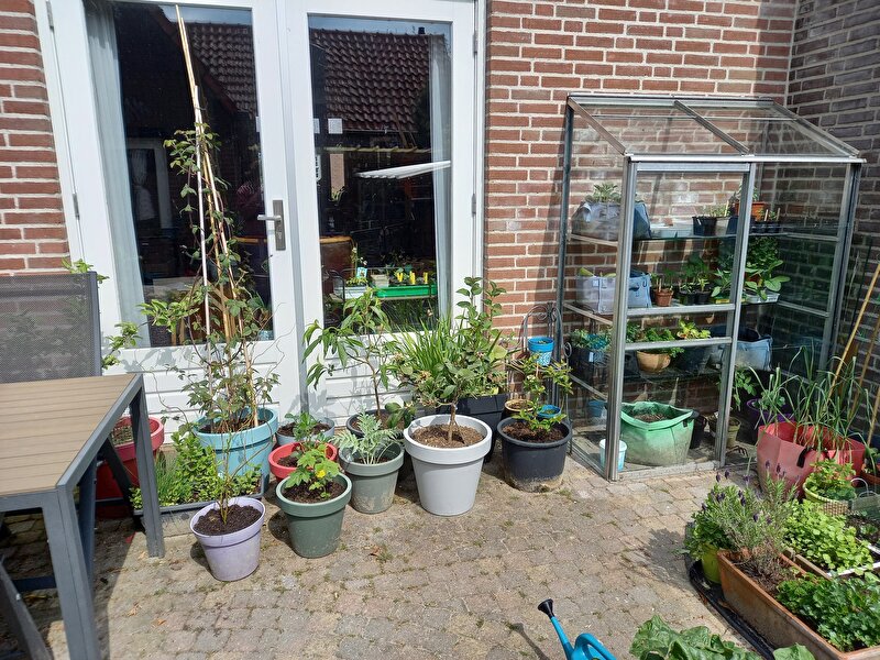 Afbeelding