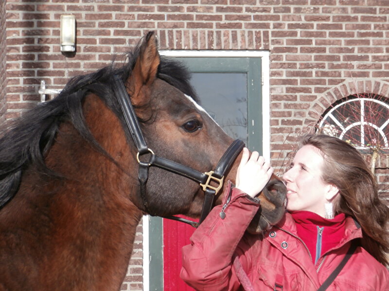 Afbeelding