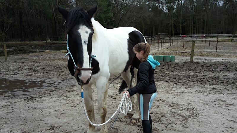 Afbeelding