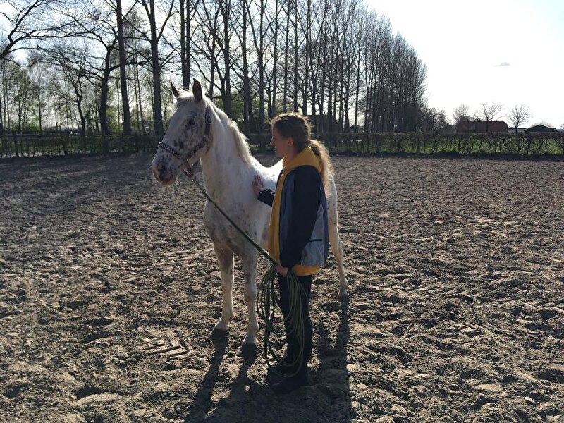 Afbeelding