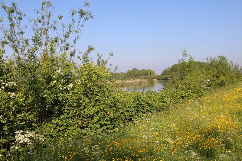 Afbeelding