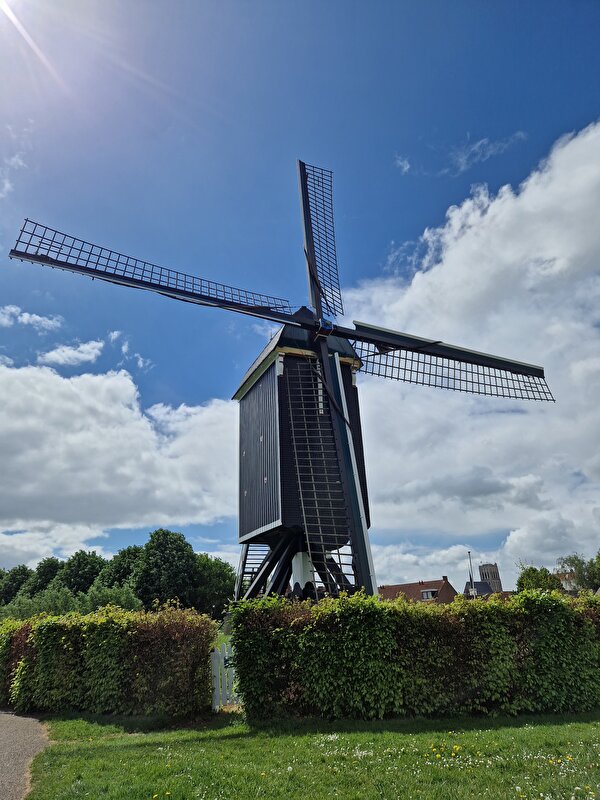 Afbeelding