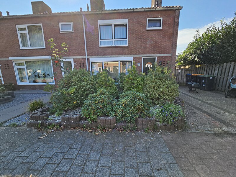 Afbeelding