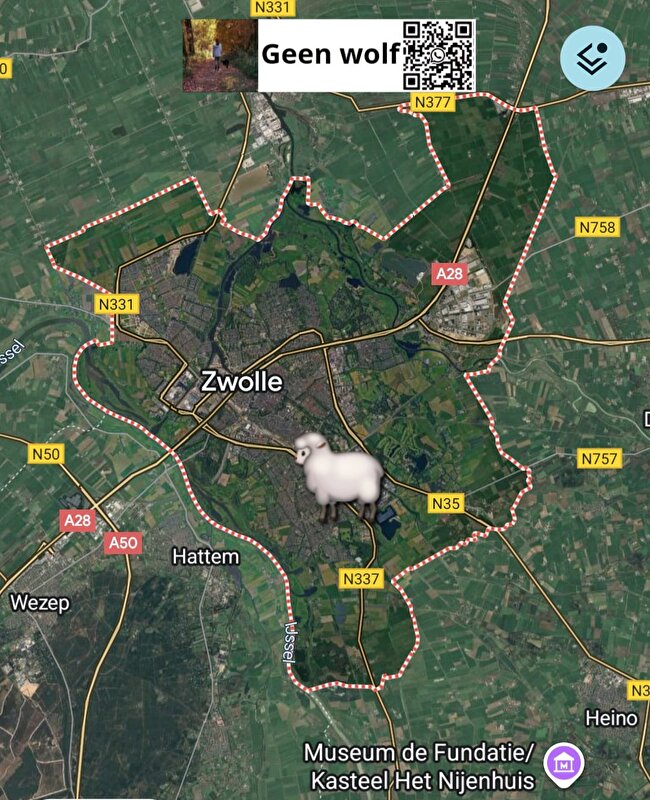 Afbeelding