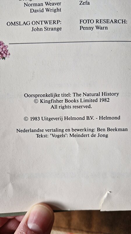 Afbeelding
