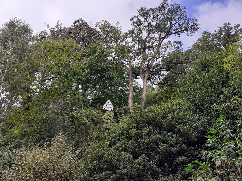 Afbeelding