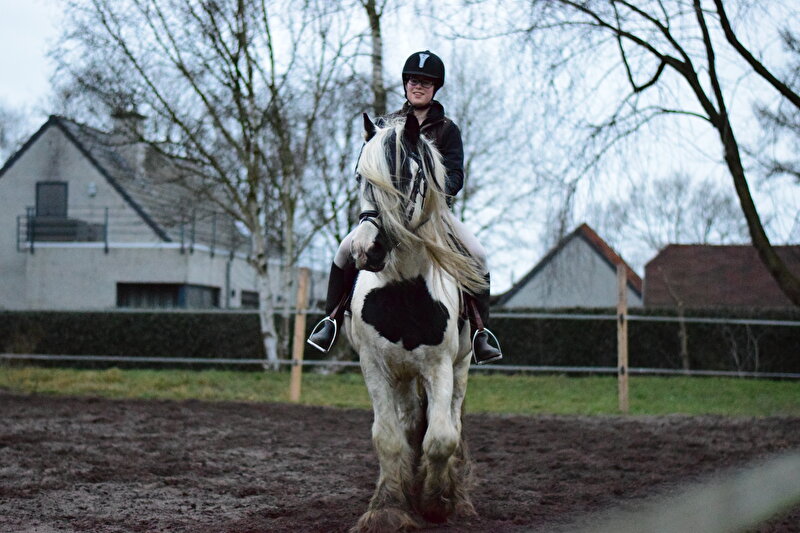 Afbeelding