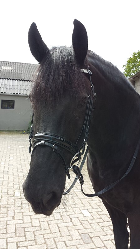 Afbeelding