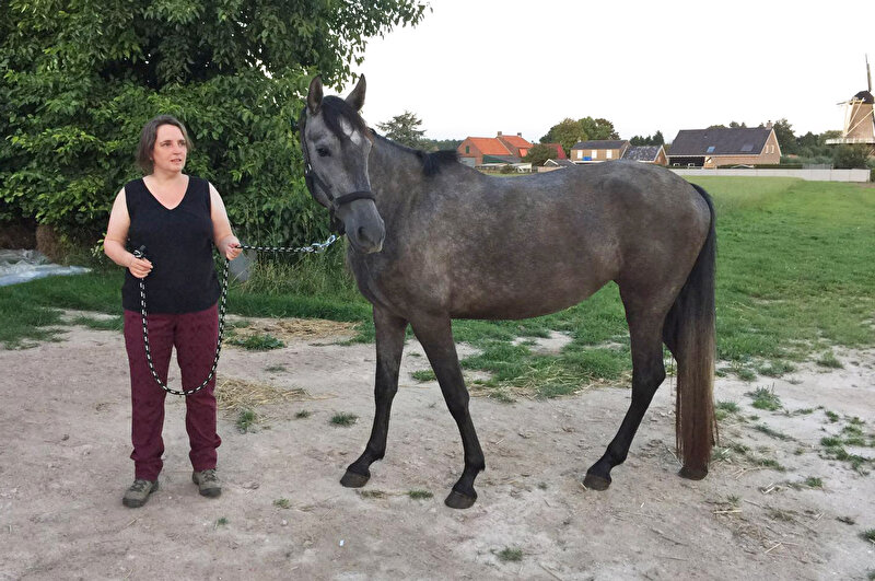Afbeelding