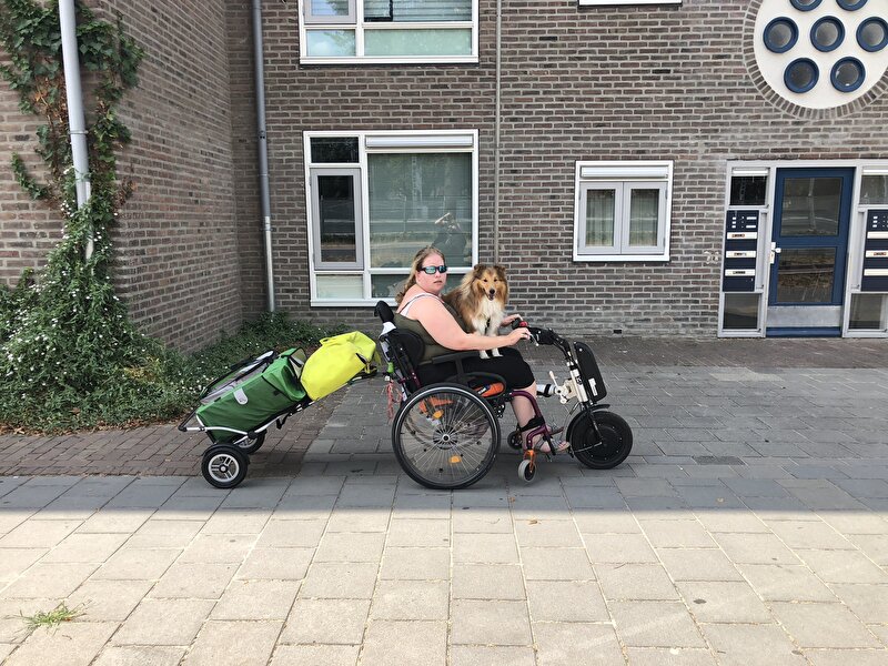 Afbeelding
