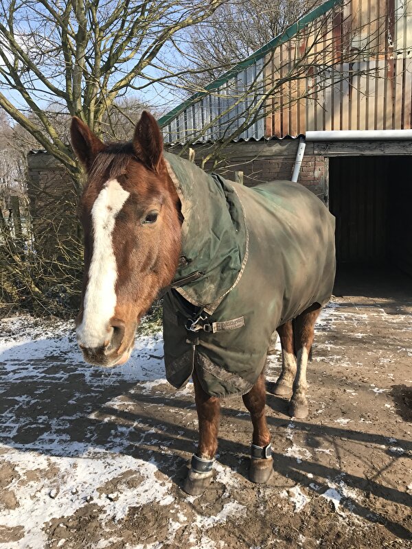 Afbeelding