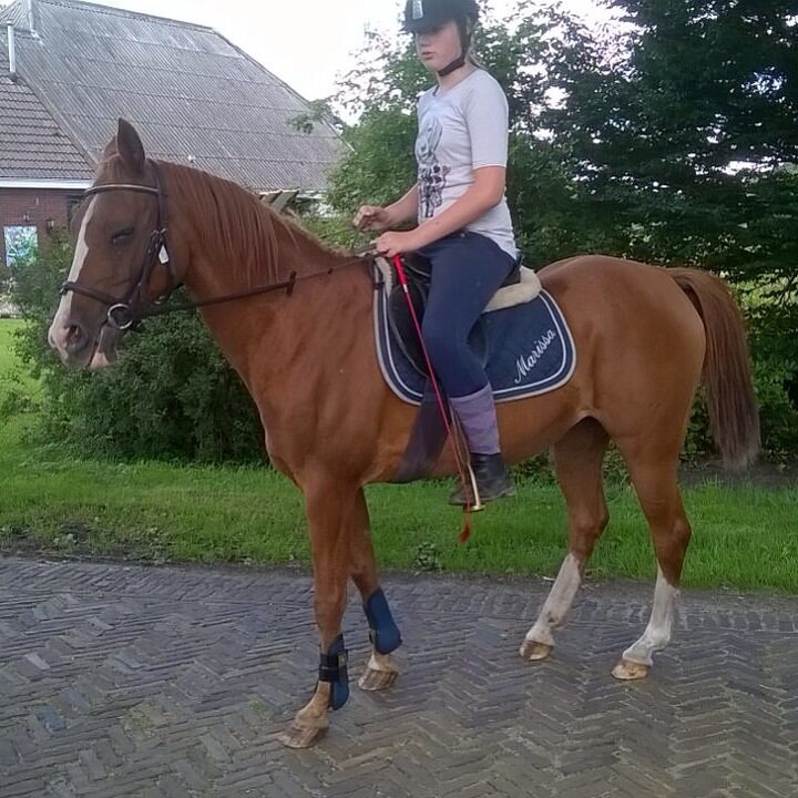 Afbeelding
