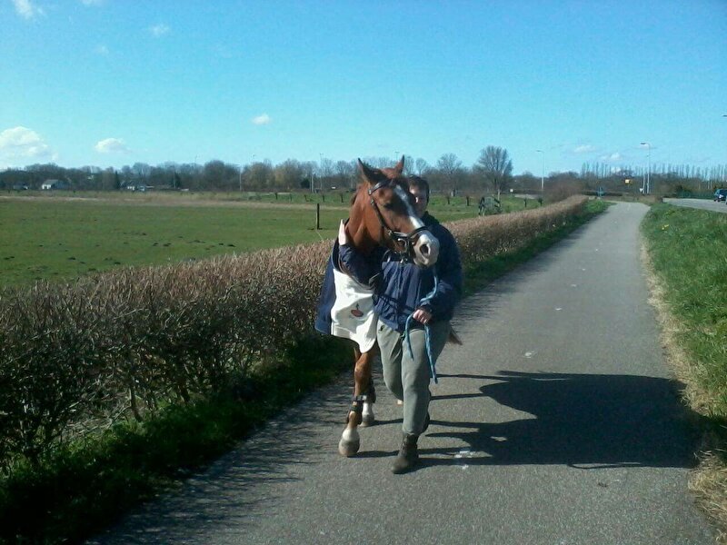 Afbeelding