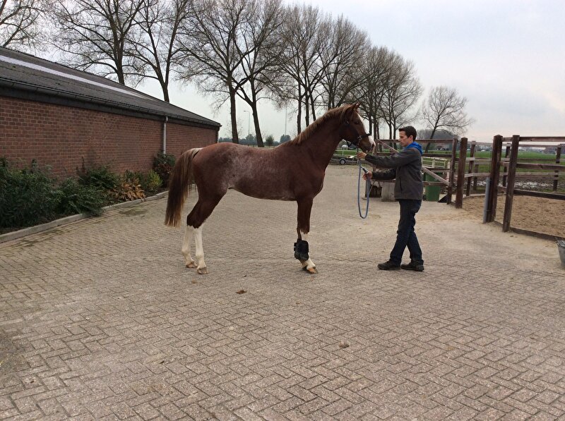 Afbeelding