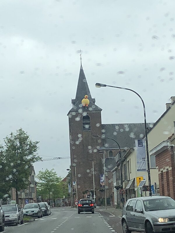 Afbeelding