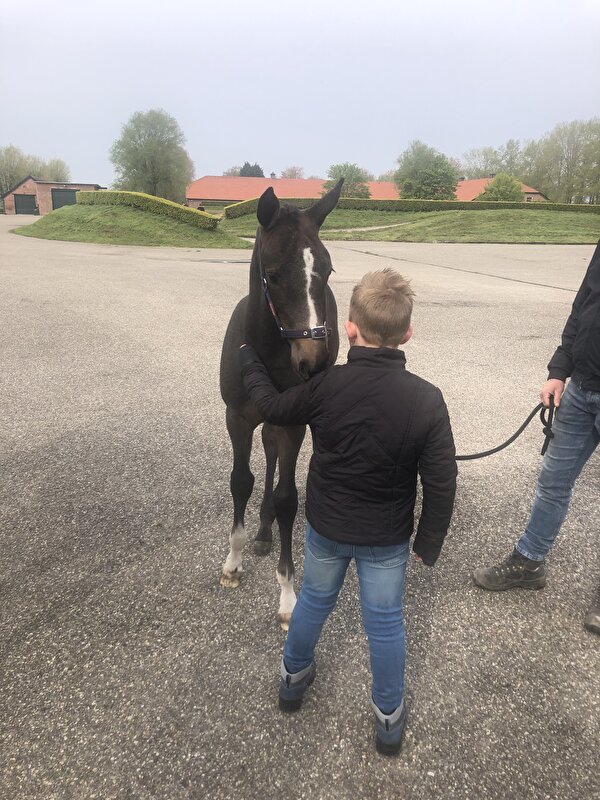 Afbeelding