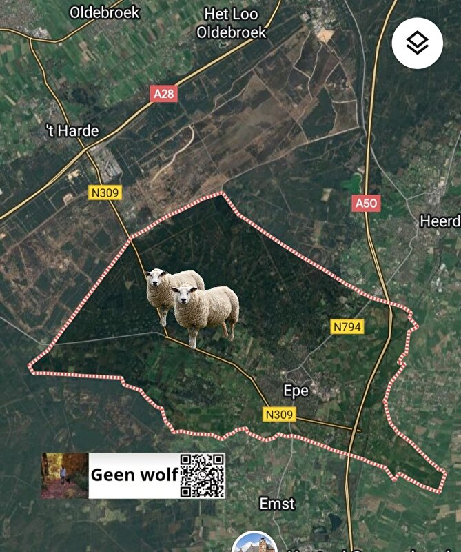 Afbeelding