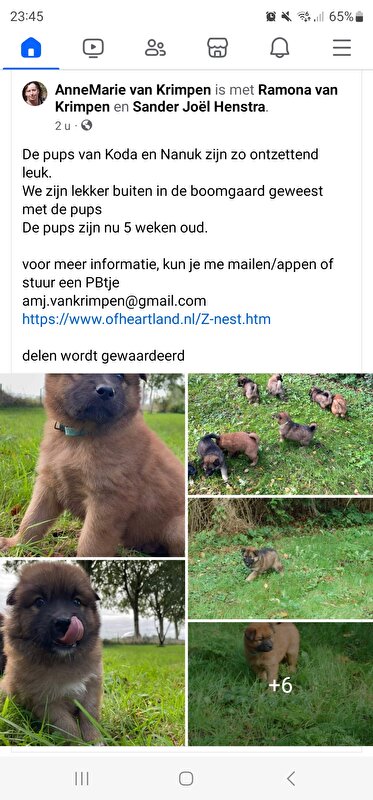 Afbeelding