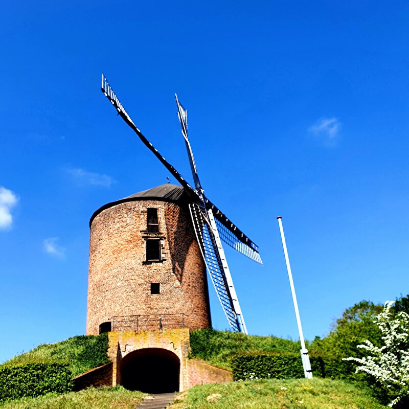 Afbeelding