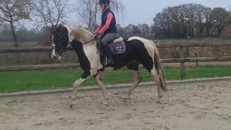 Afbeelding