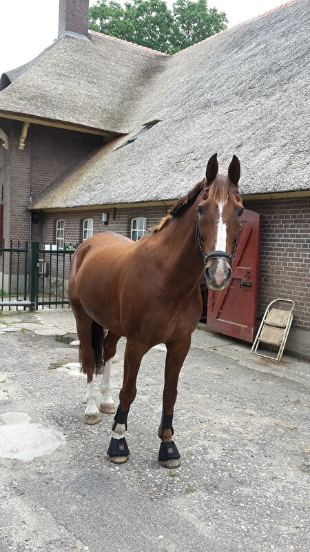 Afbeelding