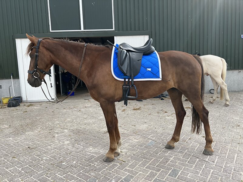 Afbeelding