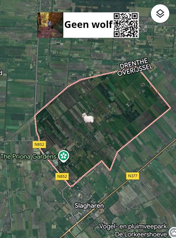 Afbeelding