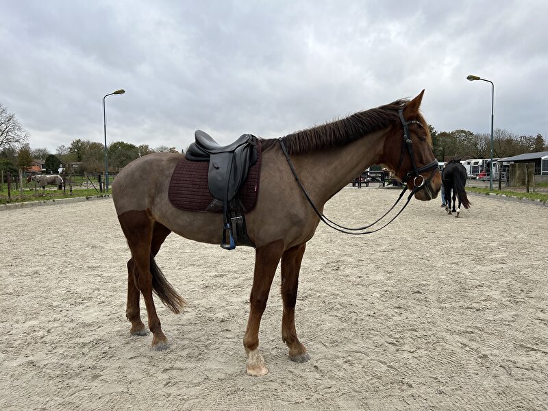 Afbeelding