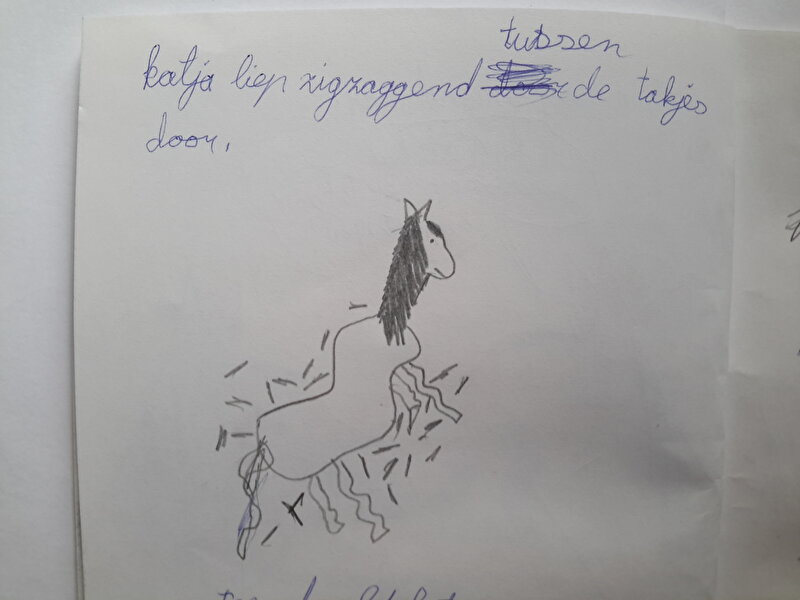 Afbeelding