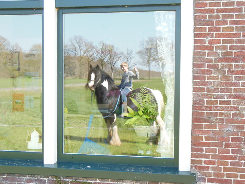 Afbeelding