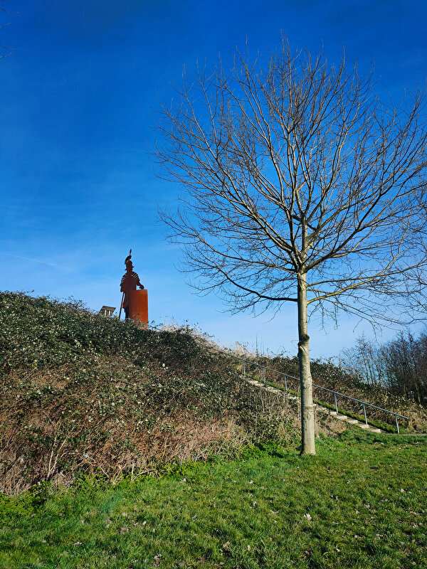 Afbeelding