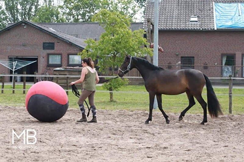 Afbeelding