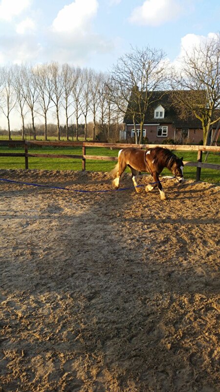 Afbeelding