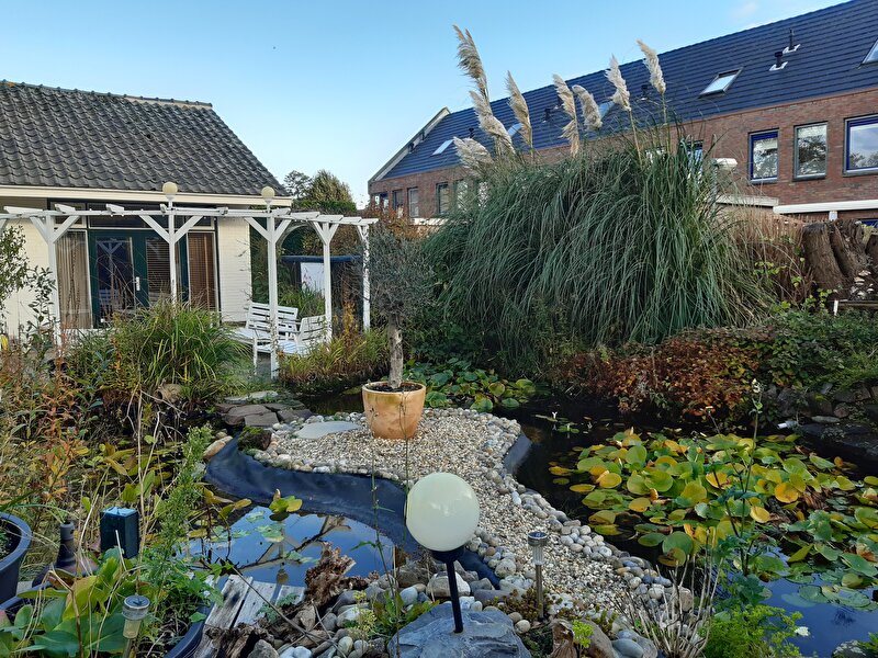 Afbeelding