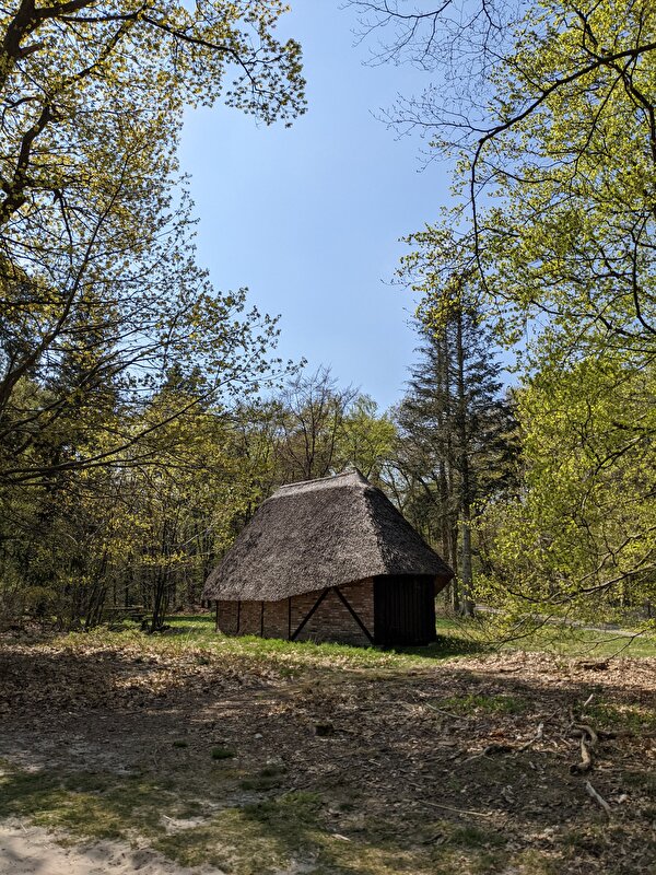 Afbeelding