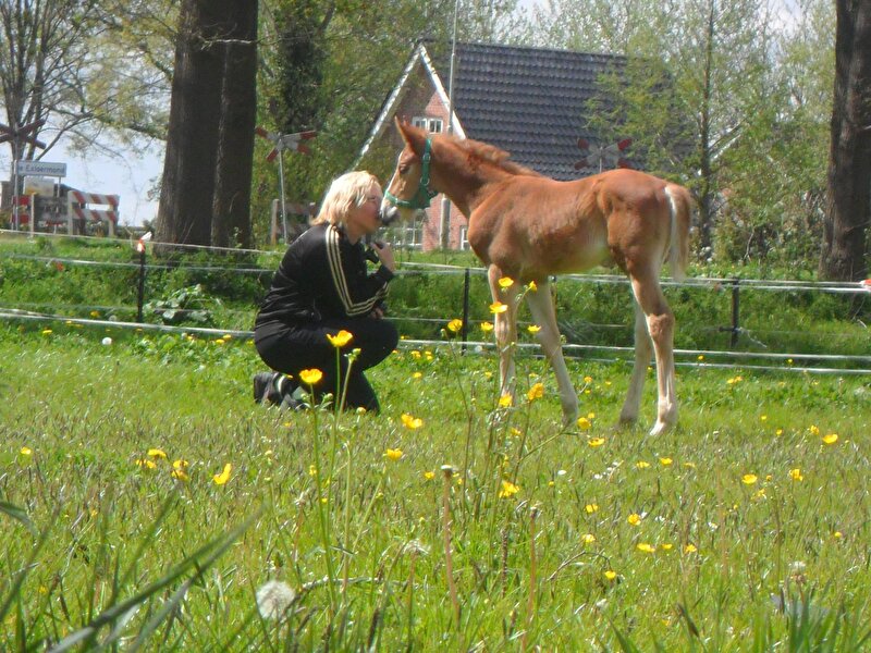 Afbeelding