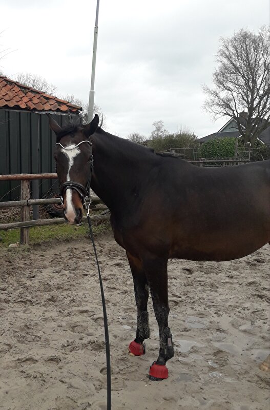 Afbeelding