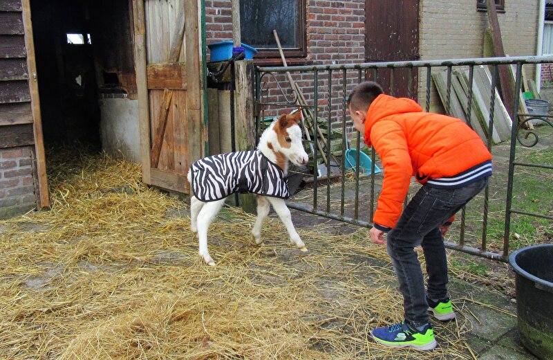 Afbeelding