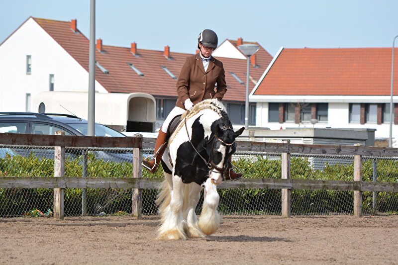 Afbeelding