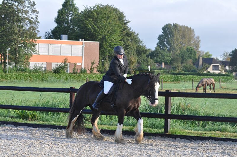 Afbeelding